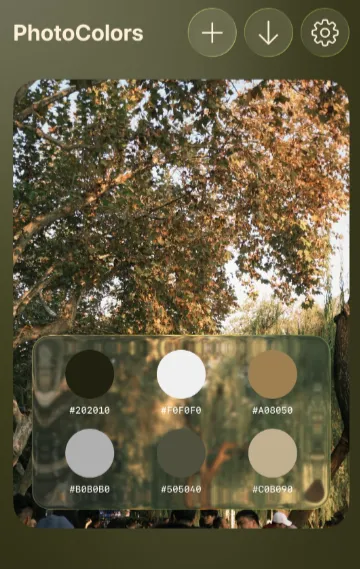 PhotoColors(��Ӱ��Ƭ������)