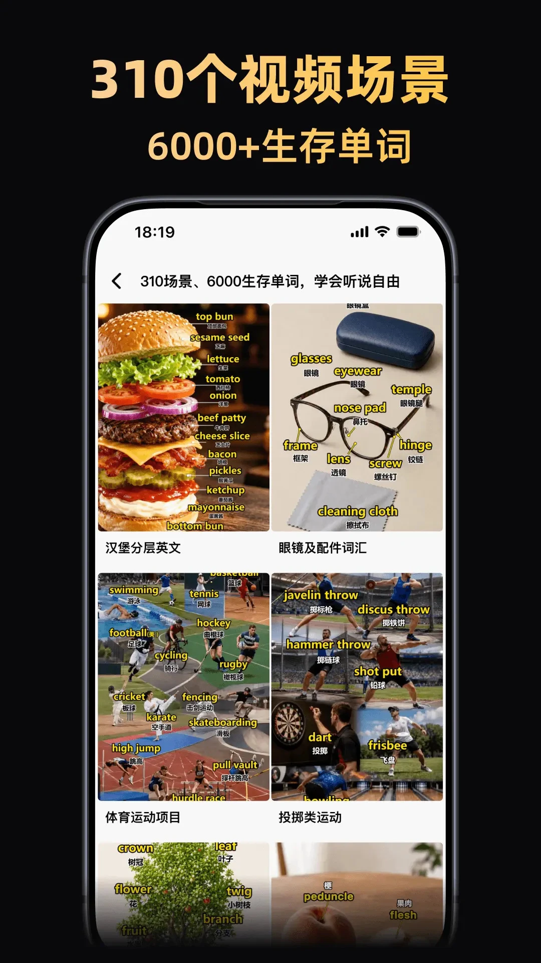 阿美英语最新手机版 阿美英语最新手机版